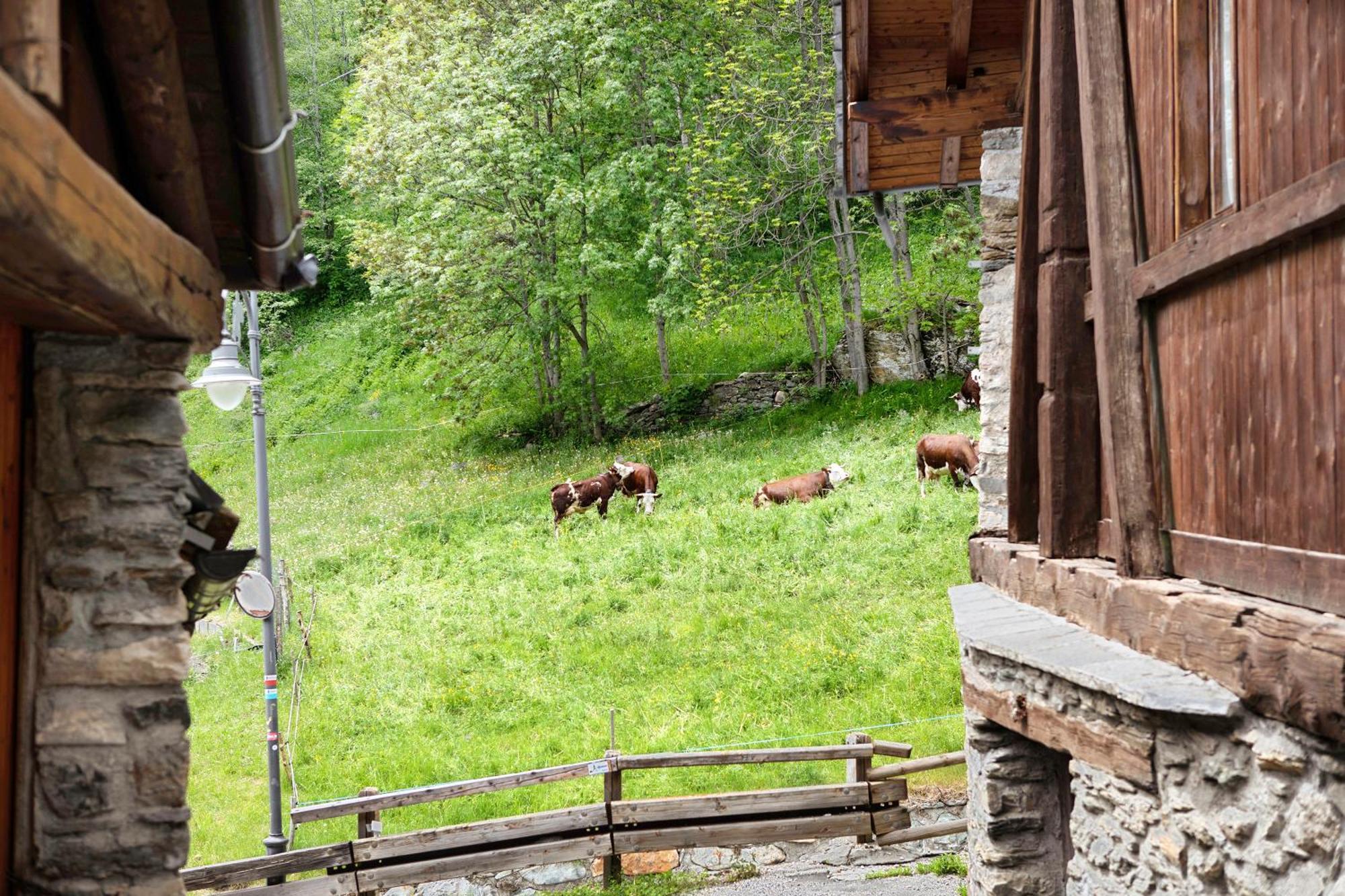 Апартаменты Aux Pieds Du Malatra' 1 Сен-Реми-ан-Босс Экстерьер фото